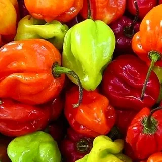 Main ingredient: Scotch Bonnet chillies